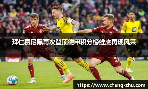 zoty中欧体育